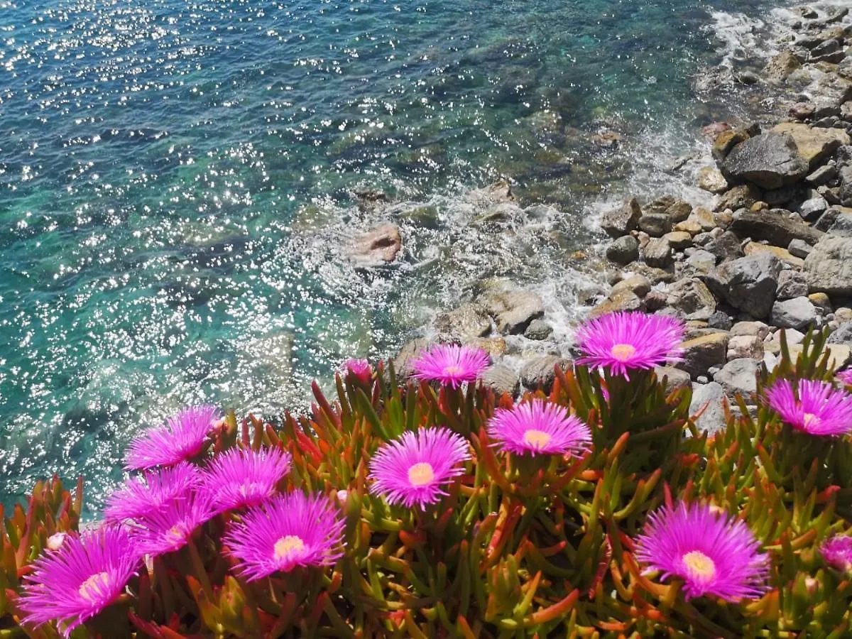 Hotel Pink House Garden Monterosso al Mare Italien
